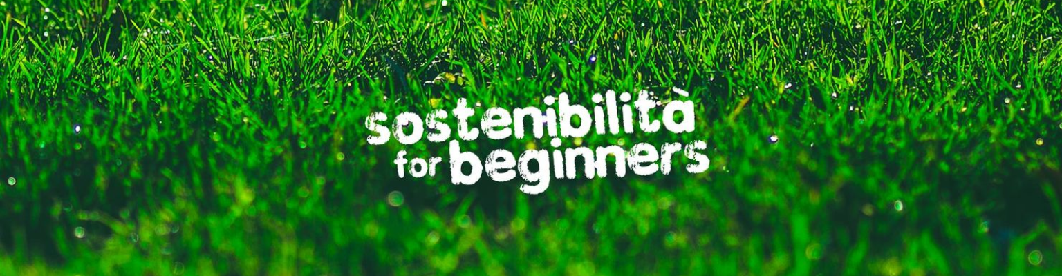 sostenibilità for beginners 