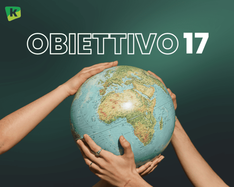 Obiettivo 17 Agenda 2030: cos'è e perché è importante - karmametrix.com