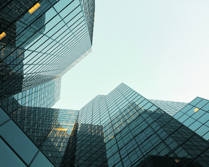 Companies and Digital Sustainability