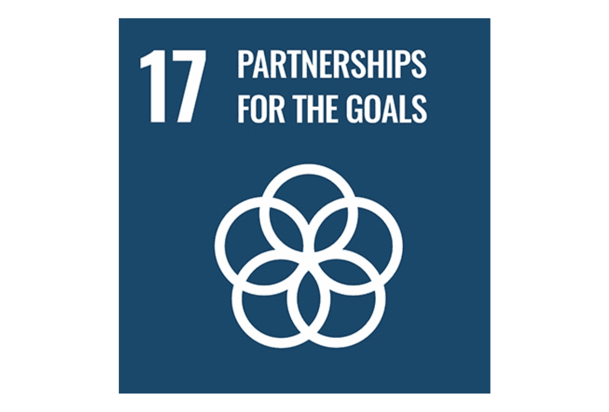 Obiettivo n. 17 - Agenda 2030
