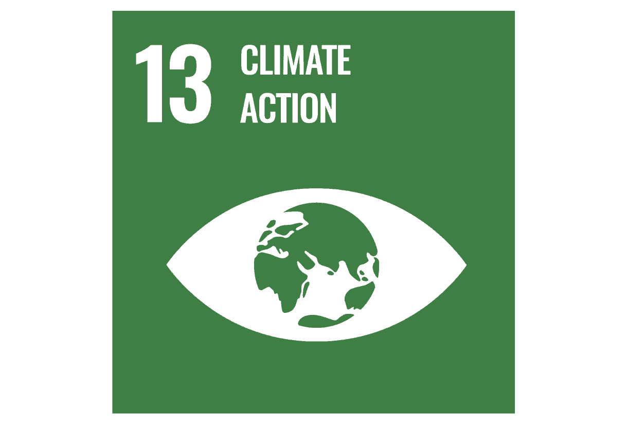 obiettivo 13 agenda 2030